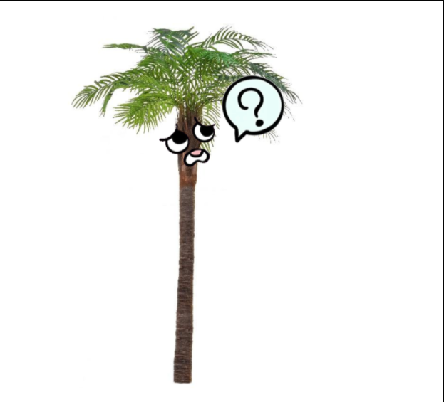Are Palm Trees?