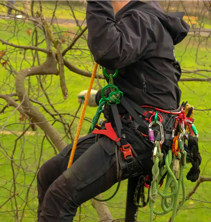 The DMM Kinisi: A Game-Changer for Arborists