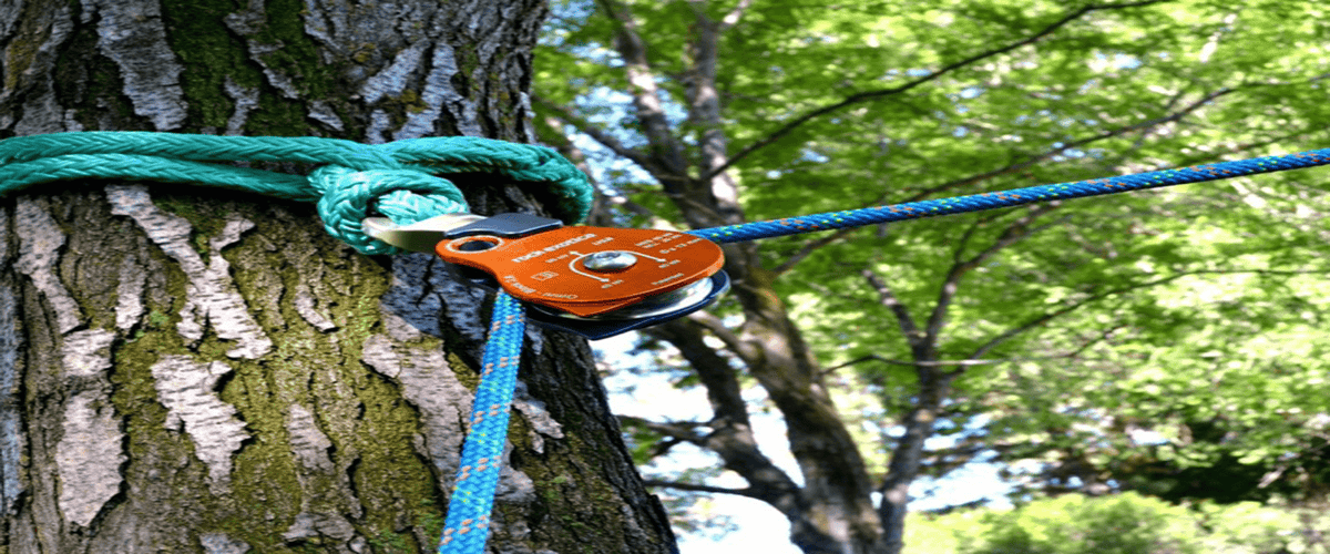 Pulleys & Swivels – treestore.io