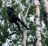 Teufelberger multiANCHOR