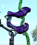 Rock Exotica Akimbo 2