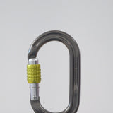 DMM Klettersteig Locksafe ANSI Captive Bar Carabiner